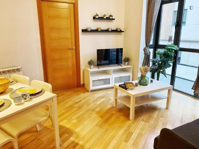 Alquiler 1 Dormitorio Apartamentos Madrid Madrid DS103270238