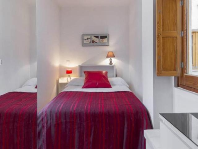 Alquiler 1 Dormitorio Apartamentos Madrid Madrid DS103277664