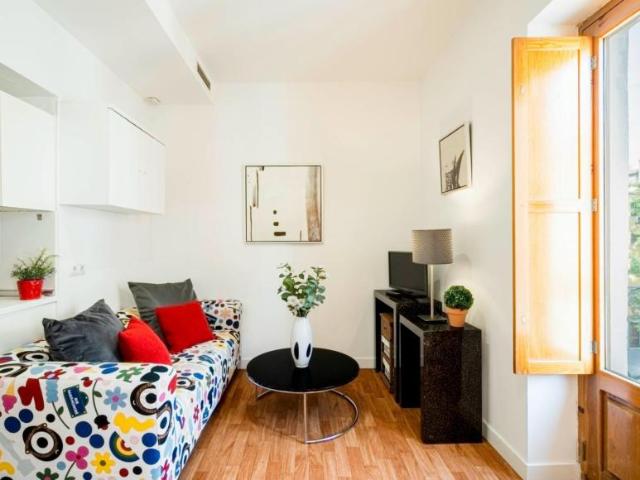 Alquiler 1 Dormitorio Apartamentos Madrid Madrid DS103277924