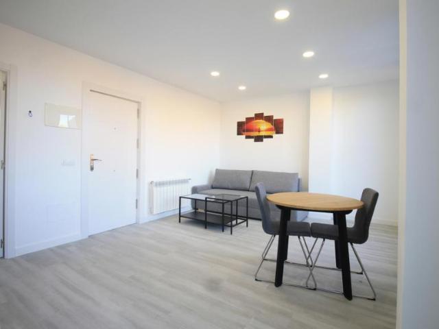 Alquiler 1 Dormitorio Apartamentos Madrid Madrid DS103338828