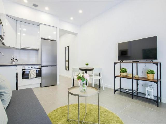 Alquiler 1 Dormitorio Apartamentos Madrid Madrid DS104911841