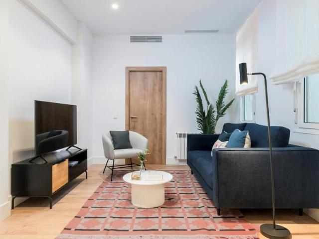 Alquiler 1 Dormitorio Apartamentos Madrid Madrid DS104003234