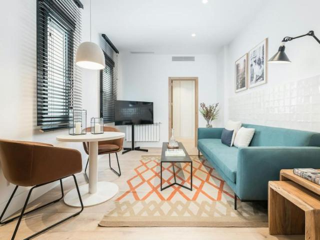 Alquiler 1 Dormitorio Apartamentos Madrid Madrid DS104003238