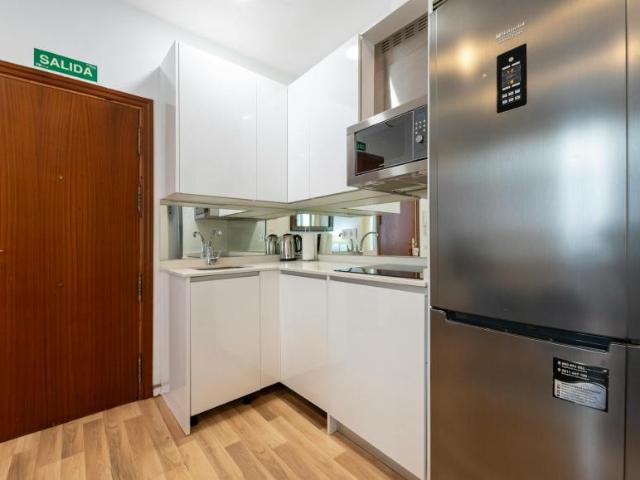 Alquiler 1 Dormitorio Apartamentos Madrid Madrid DS104038384