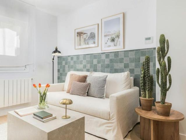 Alquiler 1 Dormitorio Apartamentos Madrid Madrid DS104107592
