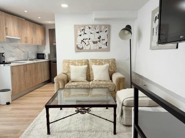Alquiler 1 Dormitorio Apartamentos Madrid Madrid DS104143468