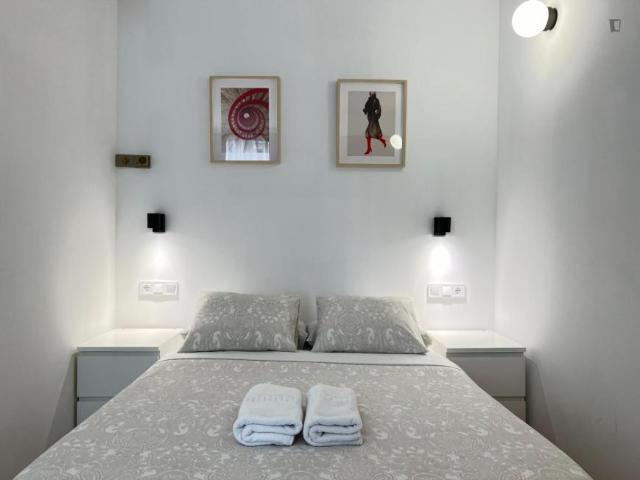 Alquiler 1 Dormitorio Apartamentos Madrid Madrid DS105434839