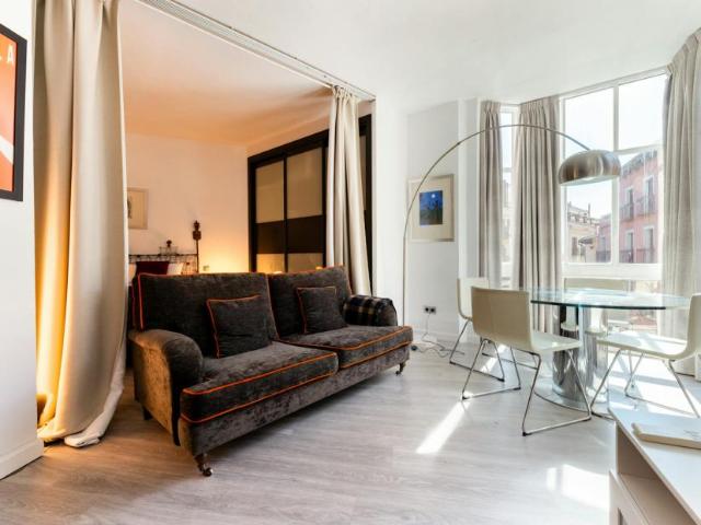 Alquiler 1 Dormitorio Apartamentos Madrid Madrid DS105582607