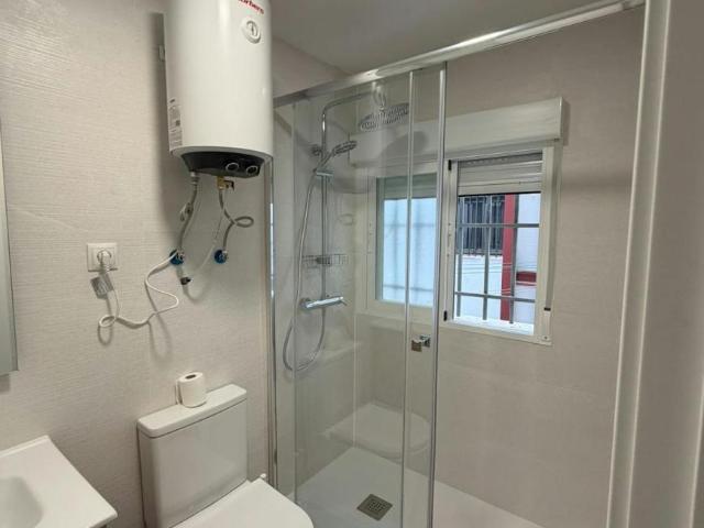Alquiler 1 Dormitorio Apartamentos Madrid Madrid DS105758208