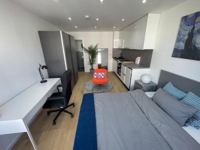 Alquiler 1 Dormitorio Apartamentos Madrid Madrid DS105005913