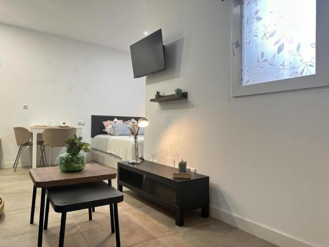 Alquiler 1 Dormitorio Apartamentos Madrid Madrid DS105119884