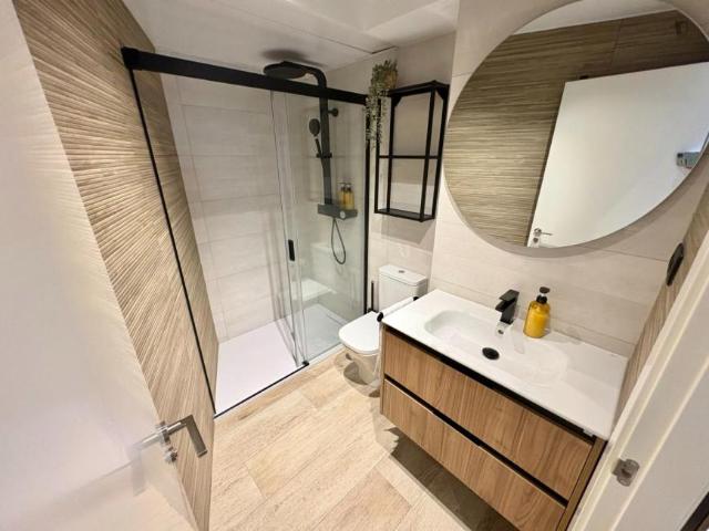 Alquiler 1 Dormitorio Apartamentos Madrid Madrid DS105267796
