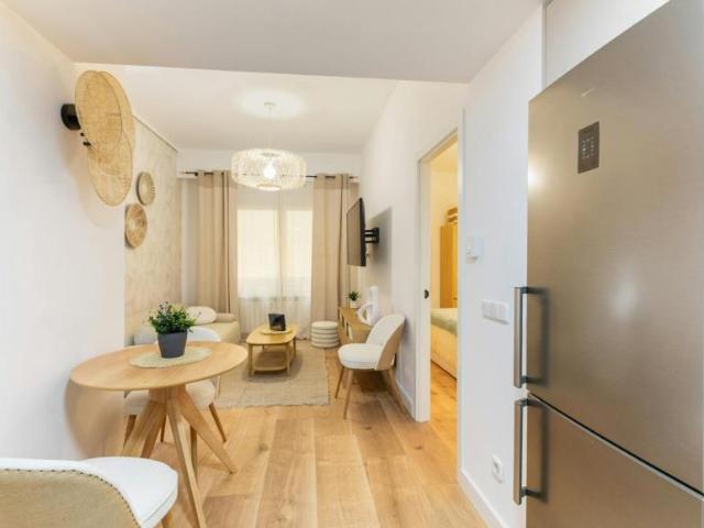 Alquiler 1 Dormitorio Apartamentos Madrid Madrid DS105270266