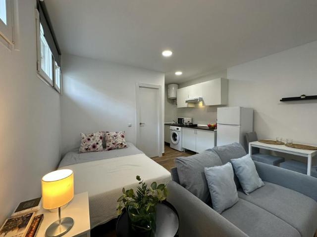 Alquiler 1 Dormitorio Apartamentos Madrid Madrid DS105379455
