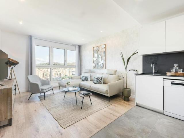 Alquiler 1 Dormitorio Apartamentos Málaga Málaga DLS104003114