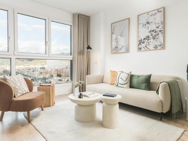 Alquiler 1 Dormitorio Apartamentos Málaga Málaga DLS105327776