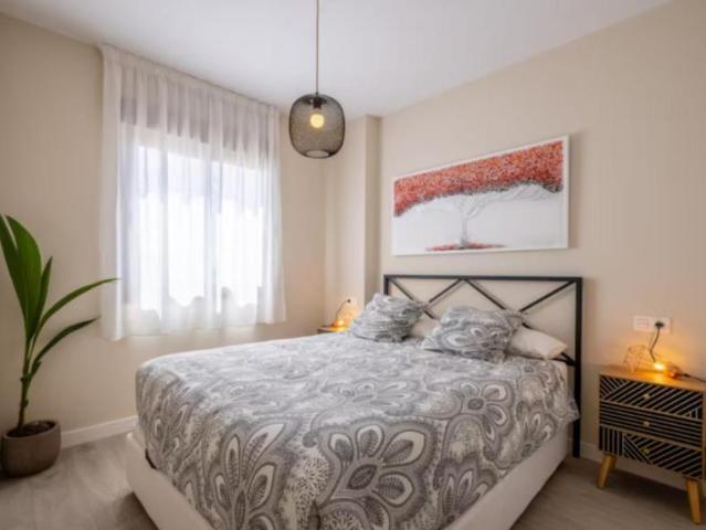 Alquiler 1 Dormitorio Apartamentos Malaga Malaga DLS103285831