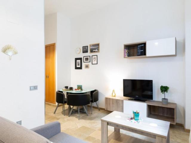 Alquiler 1 Dormitorio Apartamentos Málaga Málaga DS94861231