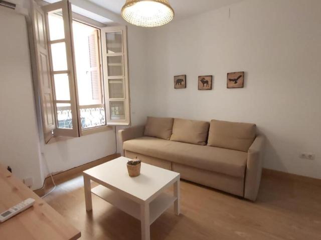Alquiler 1 Dormitorio Apartamentos Málaga Málaga DS94948019