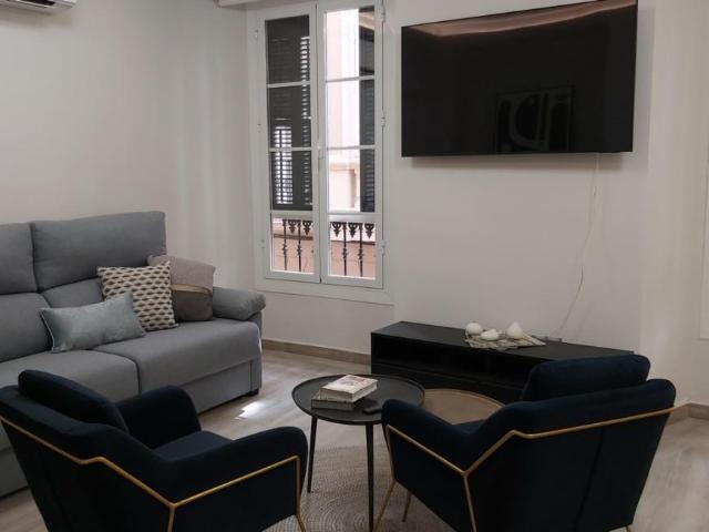 Alquiler 1 Dormitorio Apartamentos Málaga Málaga DS95901896