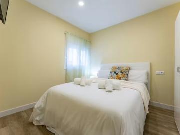 Alquiler 1 Dormitorio Apartamentos Málaga Málaga DS98539713