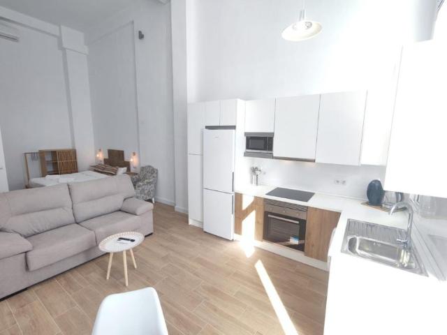 Alquiler 1 Dormitorio Apartamentos Málaga Málaga DS99105280