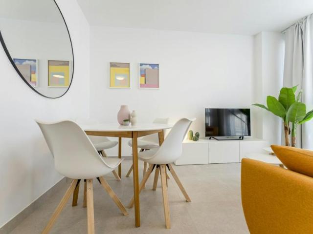 Alquiler 1 Dormitorio Apartamentos Málaga Málaga DS101407503