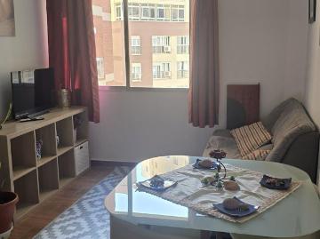 Alquiler 1 Dormitorio Apartamentos Málaga Málaga DS102630036