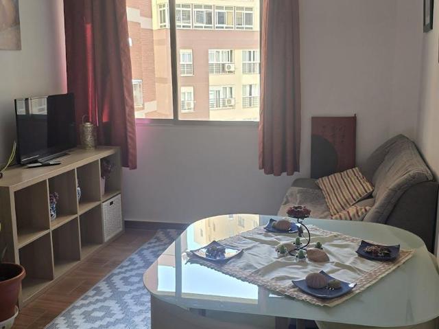 Alquiler 1 Dormitorio Apartamentos Málaga Málaga DS102630036