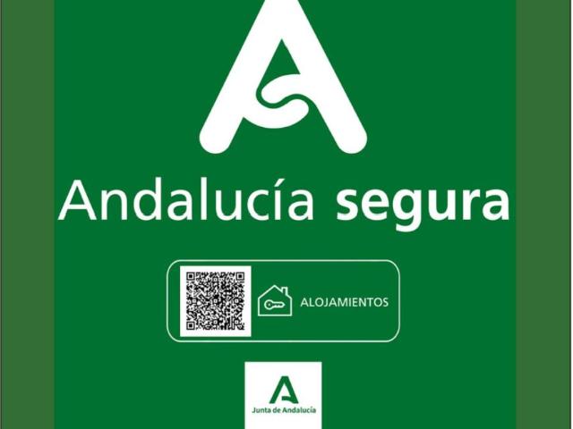 Alquiler 1 Dormitorio Apartamentos Málaga Málaga DS103488592