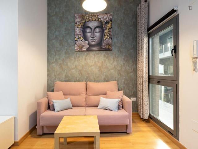 Alquiler 1 Dormitorio Apartamentos Málaga Málaga DS103804487