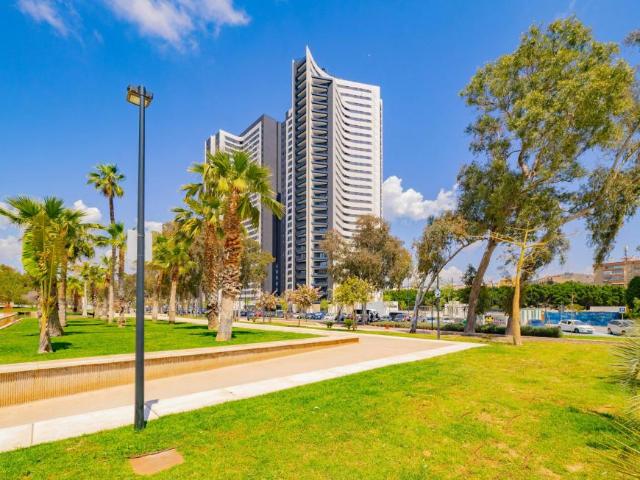 Alquiler 1 Dormitorio Apartamentos Málaga Málaga DS103842225