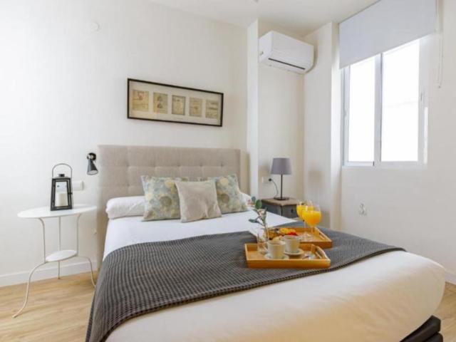 Alquiler 1 Dormitorio Apartamentos Málaga Málaga DS104897273