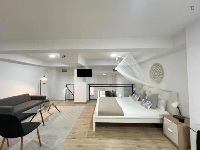 Alquiler 1 Dormitorio Apartamentos Málaga Málaga DS104937854