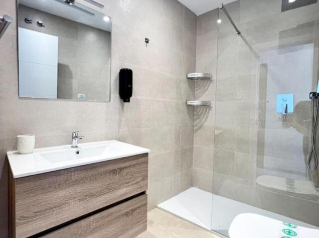 Alquiler 1 Dormitorio Apartamentos Málaga Málaga DS104937862