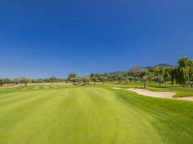 Alquiler 1 Dormitorio Apartamentos Málaga Málaga DS104107807