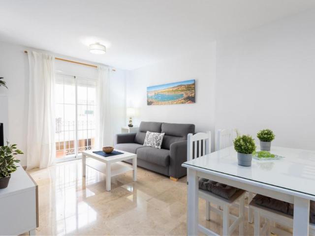Alquiler 1 Dormitorio Apartamentos Málaga Málaga DS105488096