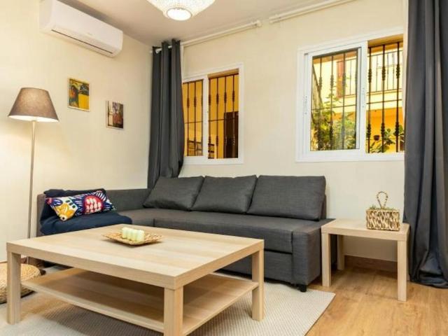 Alquiler 1 Dormitorio Apartamentos Málaga Málaga DS105645034