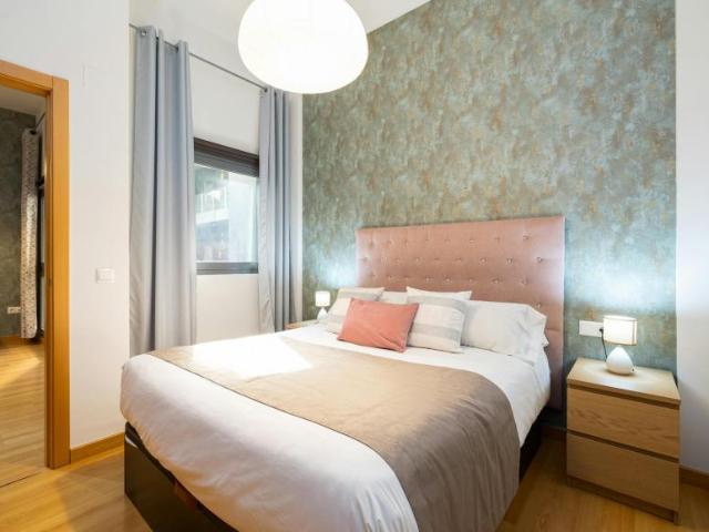 Alquiler 1 Dormitorio Apartamentos Málaga Málaga DS105334882