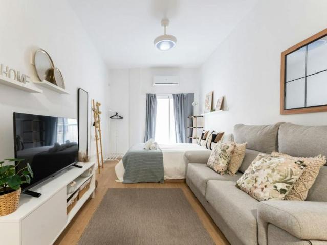 Alquiler 1 Dormitorio Apartamentos Málaga Málaga DS106194656