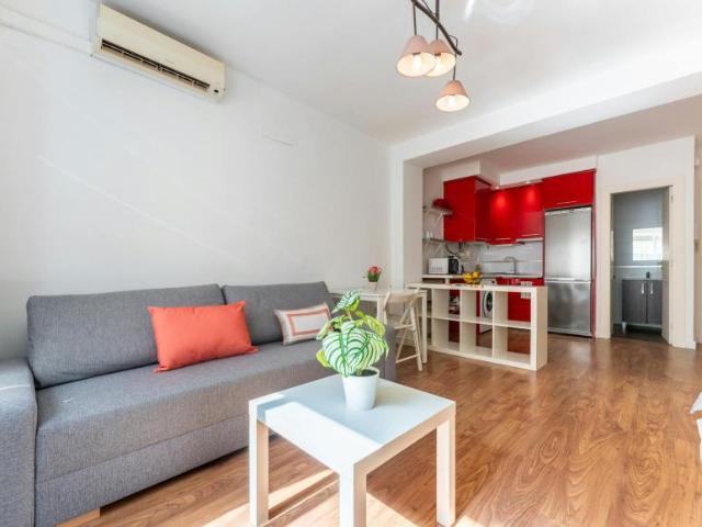 Alquiler 1 Dormitorio Apartamentos Málaga Málaga DS106195149