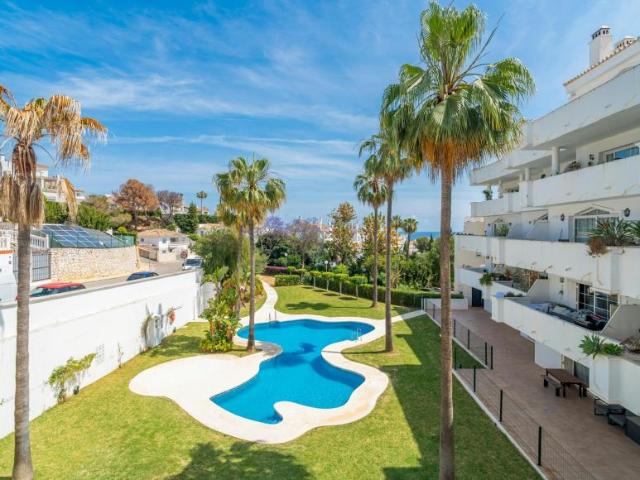 Alquiler 1 Dormitorio Apartamentos Mijas Mijas DS102308720