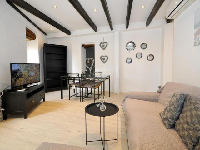 Alquiler 1 Dormitorio Apartamentos Moscari Moscari DS99288864