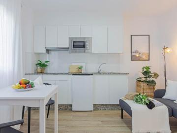 Alquiler 1 Dormitorio Apartamentos A Coruña A Coruña DS95766008