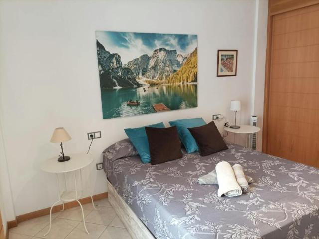Alquiler 1 Dormitorio Apartamentos Adeje Adeje DS104783520