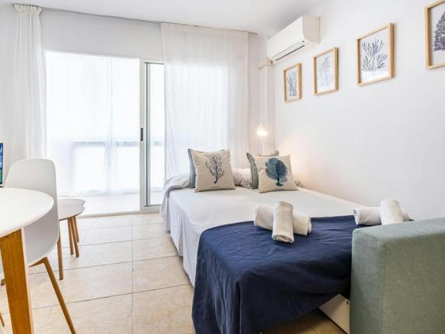 Alquiler 1 Dormitorio Apartamentos Alicante Alicante DS105151543
