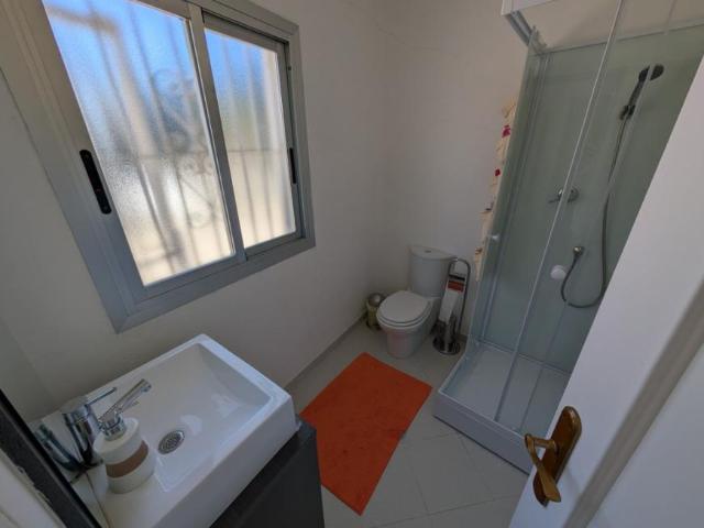 Alquiler 1 Dormitorio Apartamentos Alicante Alicante DS102437052