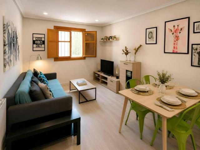 Alquiler 1 Dormitorio Apartamentos Burgos Burgos DLS104798280