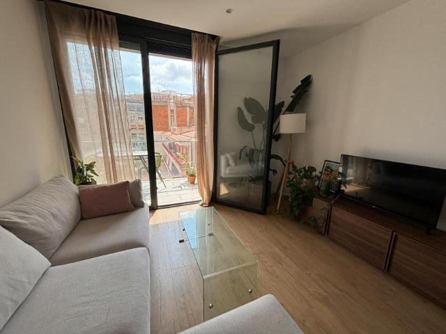 Alquiler 1 Dormitorio Apartamentos Barcelona Barcelona DLS104911317