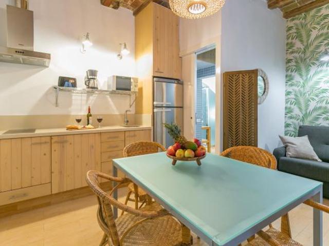 Alquiler 1 Dormitorio Apartamentos Barcelona Barcelona DLS65796780